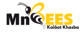 MnBees Kalâat Khasba